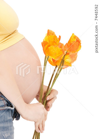 pregnant woman belly pregnant woman belly 7448592