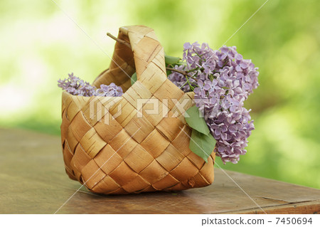 lilac flowers in birchbark basket on table 7450694