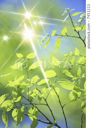 藍天和新鮮的綠色和閃閃發光 7451213