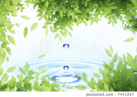 Fresh green leaf frame and water drops 7451837