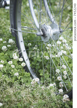 White claw grass and bicycle 7452240