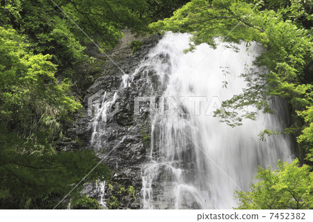 Waterfall of Minoo 7452382