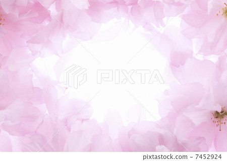 Satzakura,花瓣框架 Satzakura,花瓣框架 7452924
