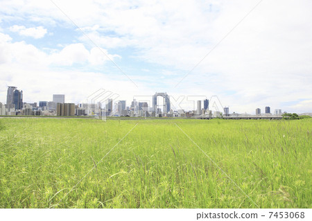 從淀川河床看到的大阪北區 從淀川河床看到的大阪北區 7453068