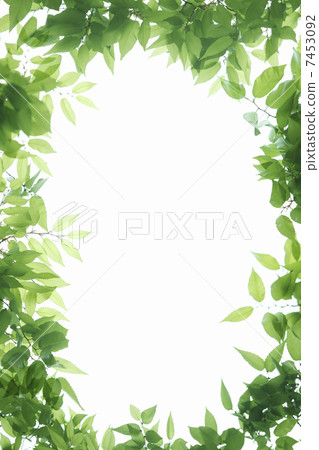 向日葵天和新綠色框架 7453092