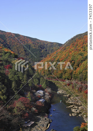 Autumn leaves of Arashiyama 7453397