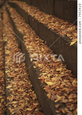 A staircase with fallen leaves A staircase with fallen leaves 7453419
