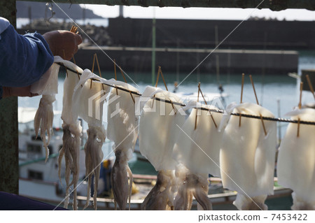 Squid's sun-dried squid Squid's sun-dried squid 7453422