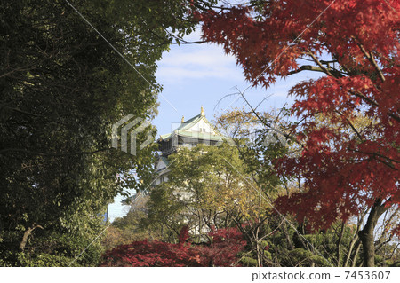 Autumn landscape of Osaka Castle Autumn landscape of Osaka Castle 7453607