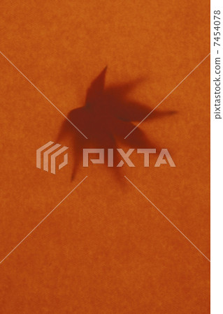 Momiji離開 7454078