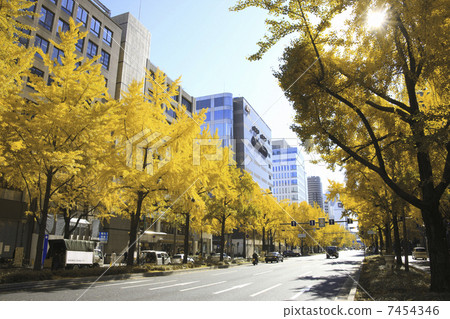 Fall Midosuji Fall Midosuji 7454346