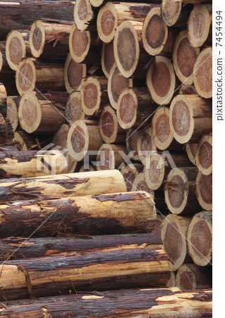 Wood log 7454494