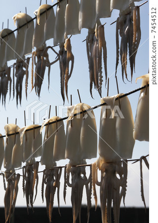 Squid's sun-dried squid Squid's sun-dried squid 7454512