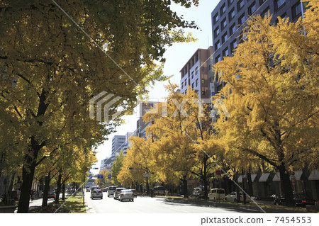 Fall Midosuji Fall Midosuji 7454553