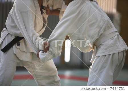 柔道 7454731