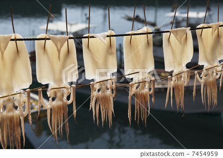 Squid's sun-dried squid Squid's sun-dried squid 7454959