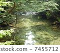 Yakushima River 7455712