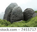 Egg shaped rock 7455717