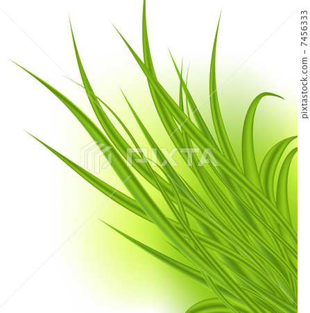 Green grass isolated on white background - Stock Illustration [7456333 ...