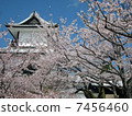 Kanazawa Castle Ishikawa gate and cherry blossoms 7456460