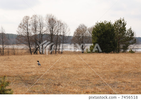 Spring melancholia Spring melancholia 7456518