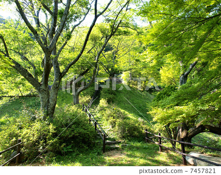 Kimigano水壩（三重縣）·Shizenkoen 7457821