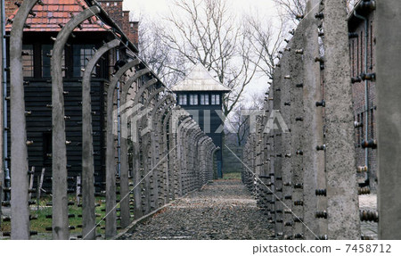 Auschwitz 7458712