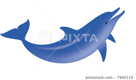 手海豚 手海豚 7460119