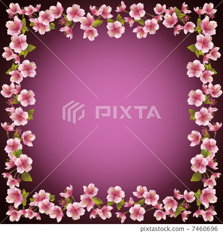 Floral frame, sakura blossom background, vector 7460696