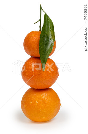 tangerines with leaves in stack tangerines with leaves in stack 7460891