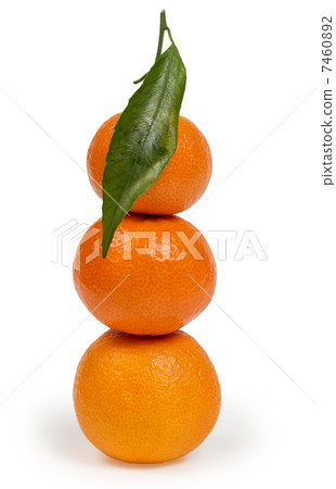 tangerines with leaves in stack 7460892