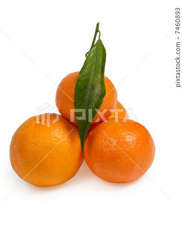 tangerines with leaves 7460893