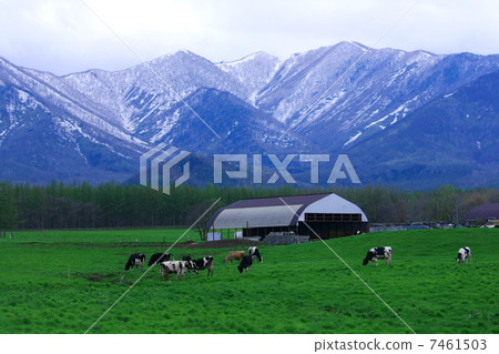 Ranch at the foot of the mountain 7461503