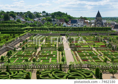 Topiary and kitchen garden in the Villandry castle 7462180