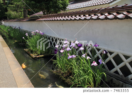 Tamino-cho, Kosho-ko in Sanin 7463355