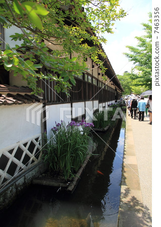 Tamino-cho, Kosho-ko in Sanin Tamino-cho, Kosho-ko in Sanin 7463356