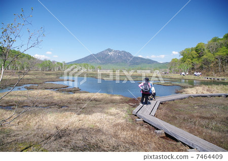 Oze在初夏 7464409