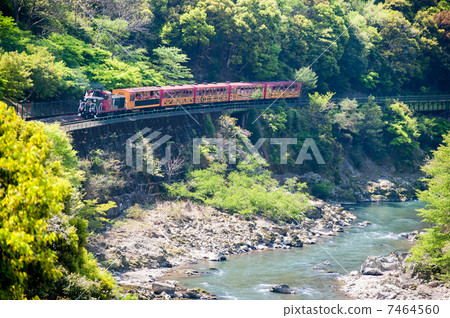 佐賀觀光鐵路卡車列車穿過新鮮的綠色霍祖峽谷 7464560