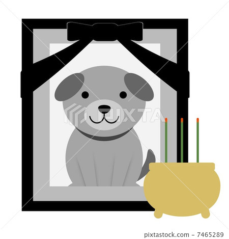 狗的肖像 7465289