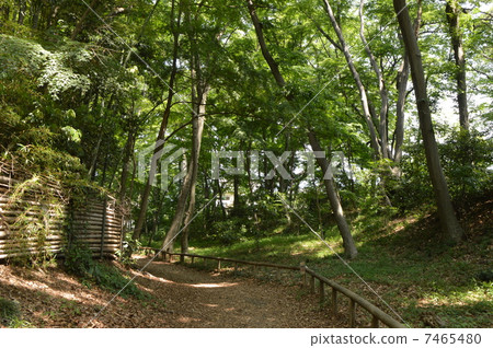 Shiroyama National of Taniho 7465480