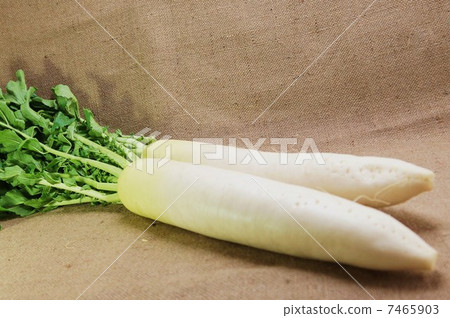 冬季蔬菜·葉子2片·全身·亞麻袋側身位置水平 冬季蔬菜·葉子2片·全身·亞麻袋側身位置水平 7465903