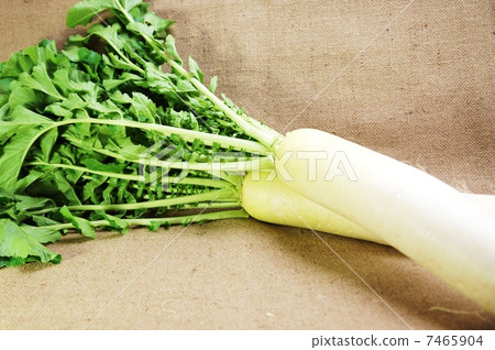 Winter vegetables · leaves with radishes 2 leaves upper side · Azabu bag sideways up position Winter vegetables · leaves with radishes 2 leaves upper side · Azabu bag sideways up position 7465904