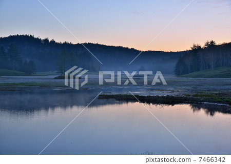 Morning glow of the moor 7466342