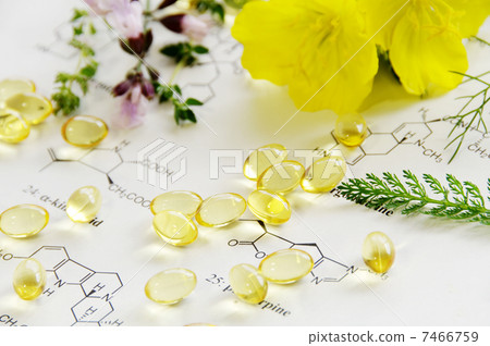 Herbs and supplements 7466759