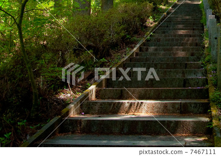 Sunlight leaves and stone steps 7467111
