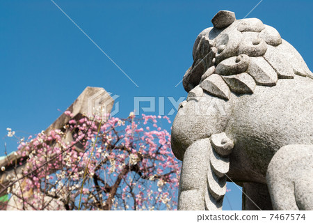 菅直人的部長靖國神社守護狗 菅直人的部長靖國神社守護狗 7467574