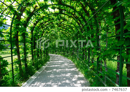 德國Linderhof城堡花園 7467637