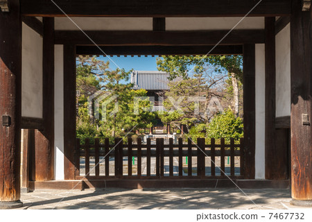 謙信寺 謙信寺 7467732