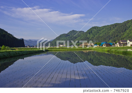 稻田風景 稻田風景 7467928