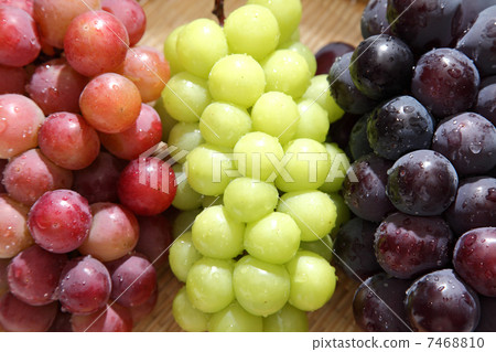 Grape  7468810